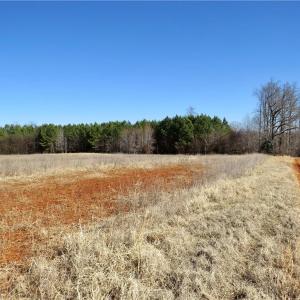 Field 2 at the rear of the field