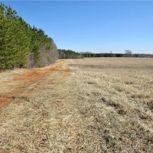 From Haw road at the beginning of field 2 and old farm road for access