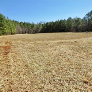 Field 4 view of back left corner