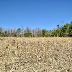 Field 4 on the left side of the property