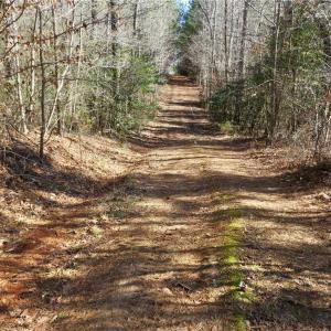 Farm road between fields 3-4