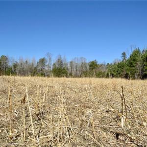 Additional view of field 4