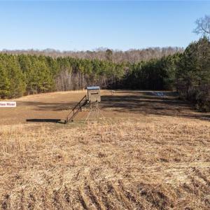 Additional view of field 4 and the old farm road leading to Haw River