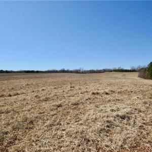 Field 2 from rear looking toward Haw road