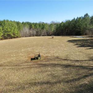 Additional view of Small portion of field 4