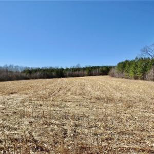 Field 1 additional view