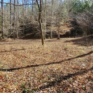 Area adjoining the Haw river at rear of property