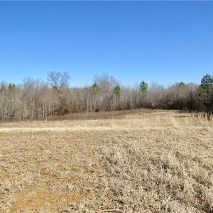 Field 1 Additional view