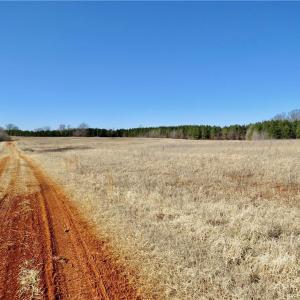Field 2 view from rear property line toward Haw road and a view of the farm road for access