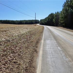 Road frontage at Field 1