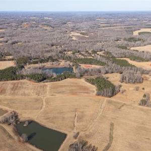Additional view of the entire farm