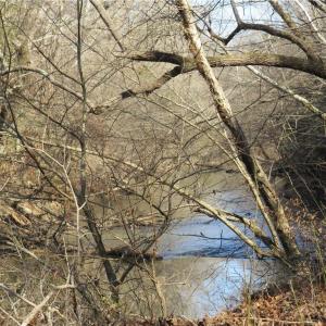 Haw River and back left property line