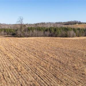 Additional view of Field 4