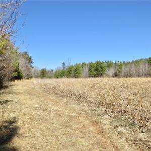 Field 4 additional view