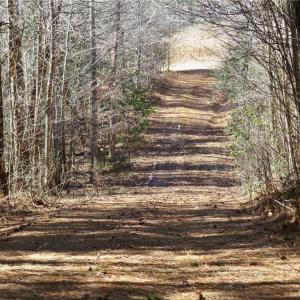 farm road from field 4 to field 3