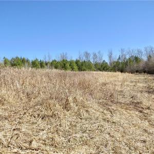 Field 3 additional view and farm road around the edge of field