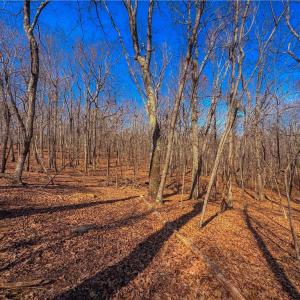 Photo #13 of 863 Sierra Trace, Denton, NC 1.6 acres