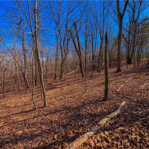 Photo #12 of 863 Sierra Trace, Denton, NC 1.6 acres