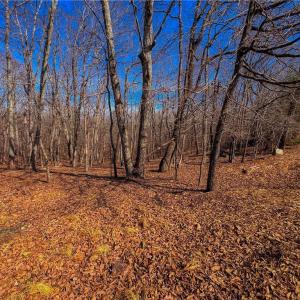 Photo #7 of 863 Sierra Trace, Denton, NC 1.6 acres
