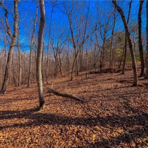 Photo #9 of 863 Sierra Trace, Denton, NC 1.6 acres