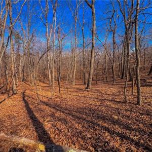 Photo #11 of 863 Sierra Trace, Denton, NC 1.6 acres