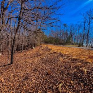 Photo #8 of 863 Sierra Trace, Denton, NC 1.6 acres