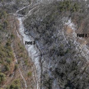 Photo #16 of Willard Creek, Stuart, VA 96.0 acres