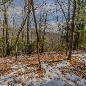 Photo #12 of Willard Creek, Stuart, VA 96.0 acres