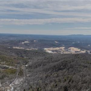 Photo #28 of Willard Creek, Stuart, VA 96.0 acres