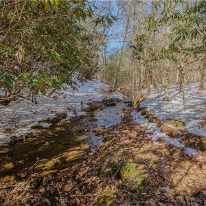 Photo #9 of Willard Creek, Stuart, VA 96.0 acres