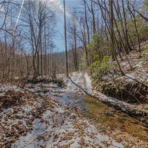 Photo #11 of Willard Creek, Stuart, VA 96.0 acres