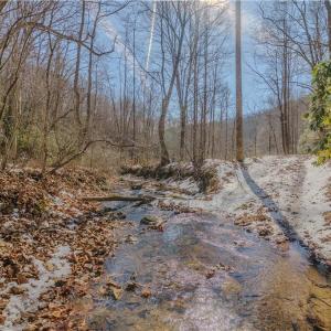 Photo #16 of Willard Creek, Stuart, VA 96.0 acres
