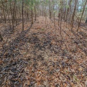 Photo #22 of Willard Creek, Stuart, VA 96.0 acres