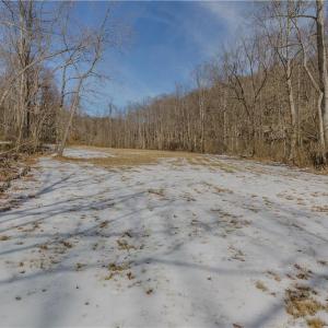 Photo #1 of Willard Creek, Stuart, VA 96.0 acres