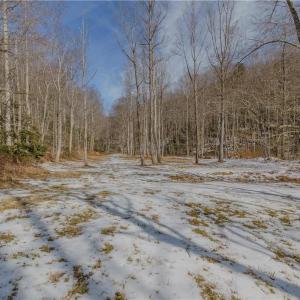 Photo #14 of Willard Creek, Stuart, VA 96.0 acres