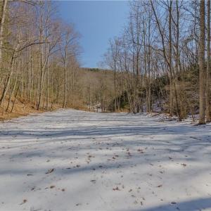 Photo #15 of Willard Creek, Stuart, VA 96.0 acres