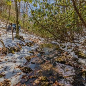 Photo #19 of Willard Creek, Stuart, VA 96.0 acres