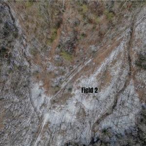 Photo #29 of Willard Creek, Stuart, VA 96.0 acres