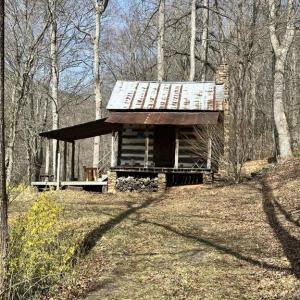 Photo #4 of Willard Creek, Stuart, VA 96.0 acres