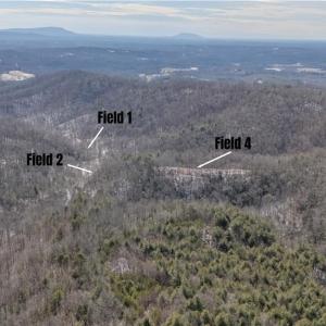 Photo #27 of Willard Creek, Stuart, VA 96.0 acres