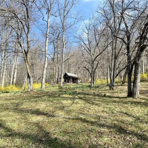 Photo #6 of Willard Creek, Stuart, VA 96.0 acres
