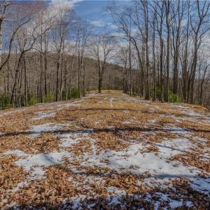 Photo #17 of Willard Creek, Stuart, VA 96.0 acres