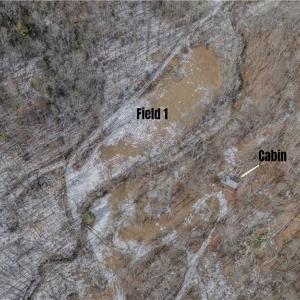 Photo #28 of Willard Creek, Stuart, VA 96.0 acres