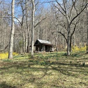 Photo #5 of Willard Creek, Stuart, VA 96.0 acres