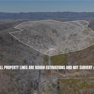 Photo #23 of Willard Creek, Stuart, VA 96.0 acres