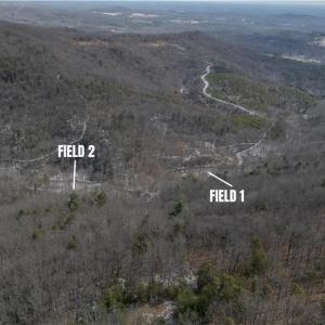 Photo #24 of Willard Creek, Stuart, VA 96.0 acres