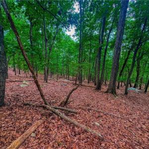 Photo #13 of 1996 Sierra Trace, Denton, NC 4.1 acres