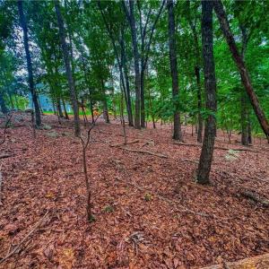 Photo #12 of 1996 Sierra Trace, Denton, NC 4.1 acres