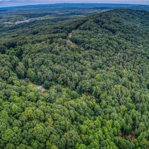 Photo #7 of 1996 Sierra Trace, Denton, NC 4.1 acres