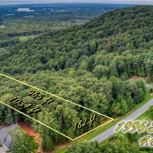 Photo #1 of 1996 Sierra Trace, Denton, NC 4.1 acres